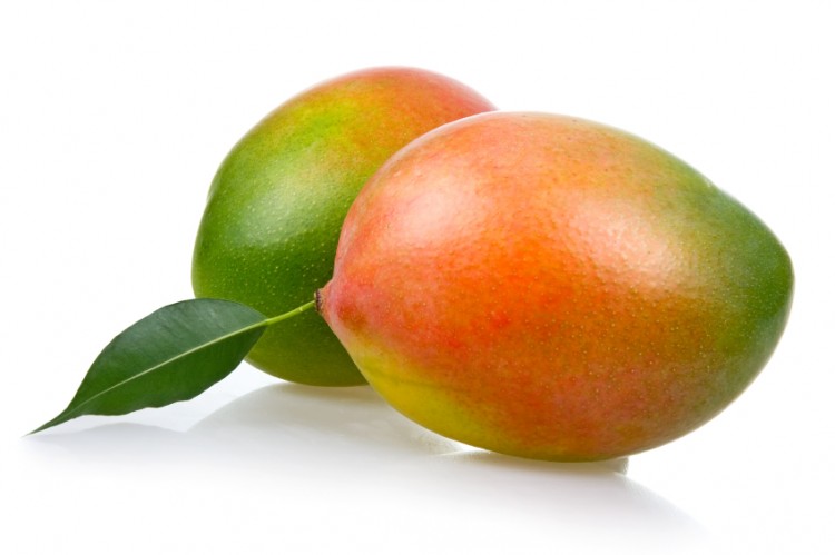非洲芒果籽提取物